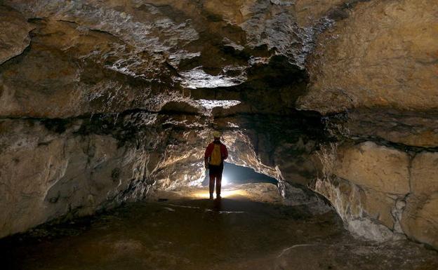 Ninguna de las 9 cuevas vizcaínas con arte rupestre es bien cultural