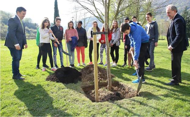 Hojas para aprender a distinguir los árboles de Bilbao