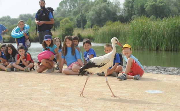El lunes empieza el plazo para inscribirse en las actividades de verano municipales de Vitoria