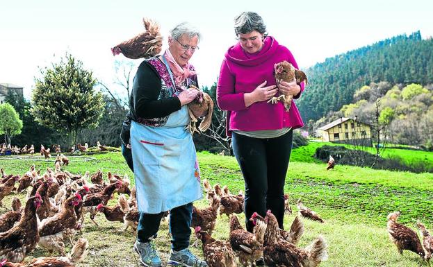 Las 3.000 gallinas de Iratxe