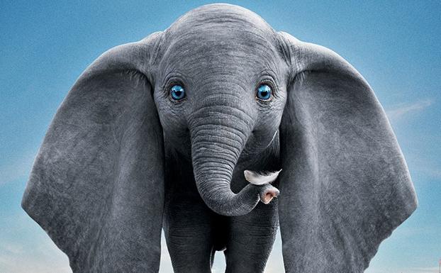 Dumbo domestica a Tim Burton