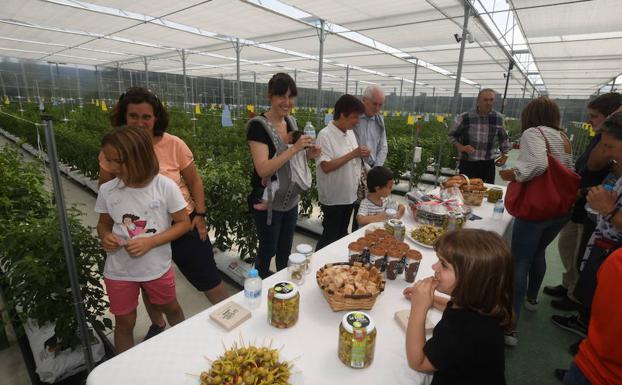 Festival gastronómico Uribe Gastrofest: Lo mejor del campo para toda la familia