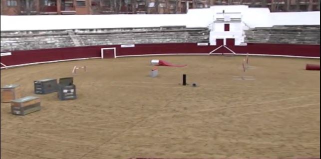 La plaza de toros de Estella, espacio de esparcimiento canino