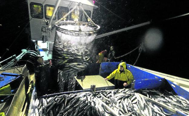 Euskadi se enfrenta a Galicia y Asturias al negarse a rebajar su cuota del verdel