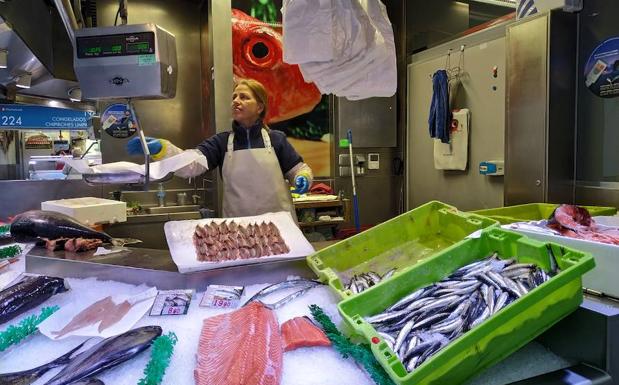 La masiva llegada de anchoa colapsa los puertos vascos y obliga a amarrar la flota hasta el lunes