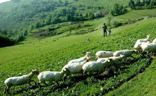 Los paisajes de la ruta de montaña del queso Idiazabal