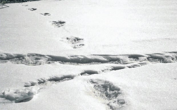 El Ejército indio se cruza con el yeti