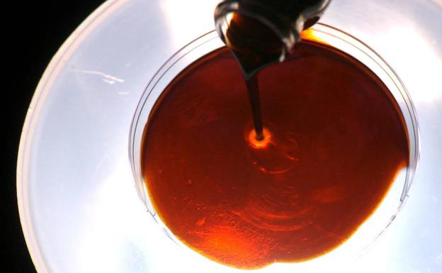 ¡Biodiesel a base de algas!