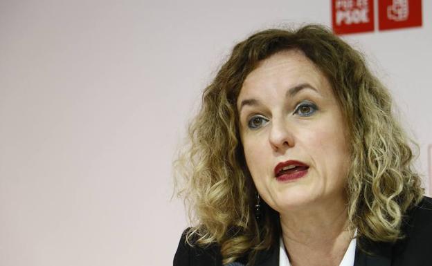 El PSE se presenta como «referente» de la izquierda por la labor institucional