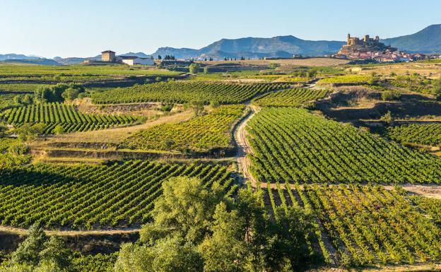 Thriller entre viñedos en la Rioja Alta