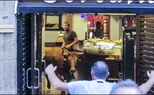 Una vaquilla se cuela en un bar de Laguardia durante un encierro