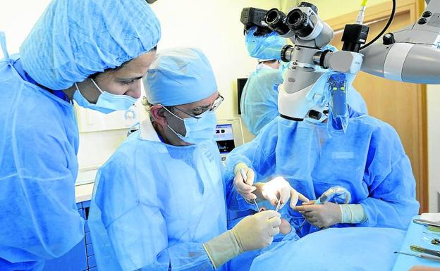 El centro alavés BTI arrasa de nuevo en investigación en biotecnología