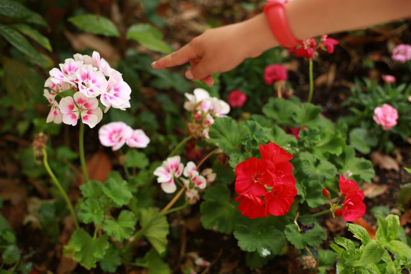 Los rincones más 'green' de Vitoria al descubierto
