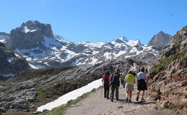 El Parque de Picos de Europa oferta cinco rutas gratuitas por Liébana