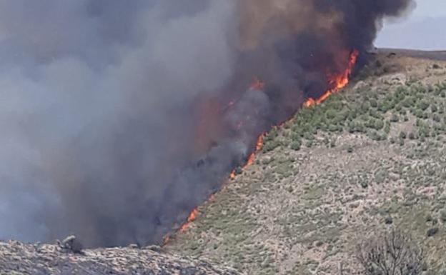 Logran controlar el fuego de Almería después de que calcinara 1.200 hectáreas