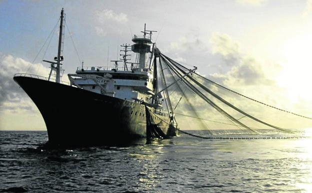 La pesca de atún en los océanos toca techo y hace zozobrar un sector clave en Euskadi