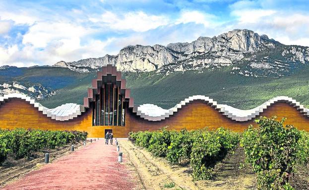 Álava atesora más de la mitad de los viñedos excepcionales de Rioja