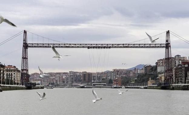Portugalete estudia el uso de drones para retirar nidos de gaviotas