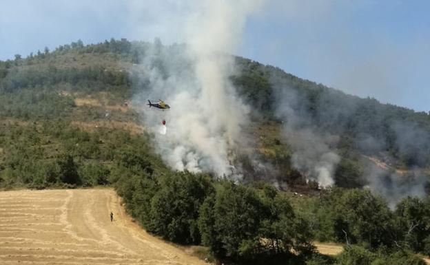 Sofocan un incendio forestal en Treviño