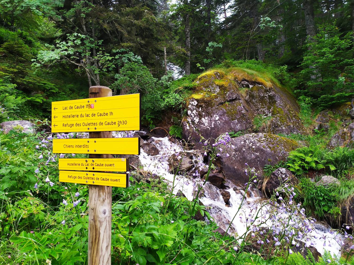 Ruta al lago de Gaube y al refugio de Oulettes