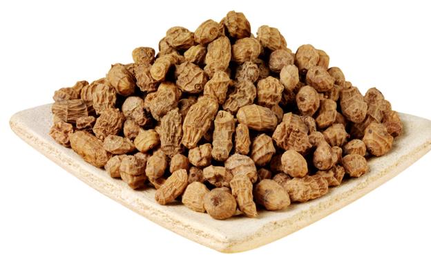 Campeones de la chufa