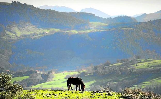 Los escolares convierten Armañón en el parque natural más visitado de Bizkaia