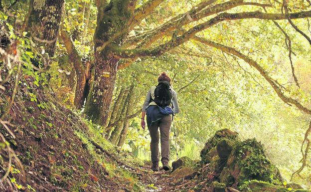 La carrera en la que solo puede quedar uno