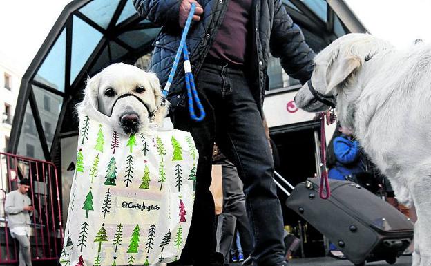 El Corte Inglés permite el acceso de perros a su centro de Bilbao