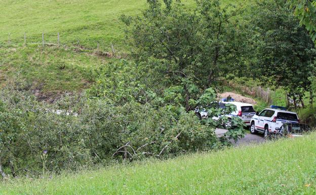 «Estaba hablando con otro vecino cuando el toro le atacó por sorpresa»