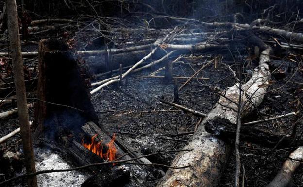 Urtea hasi zenetik Amazoniak 72.843 sute jasan ditu