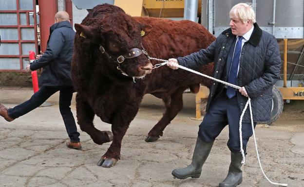 Desconcierto en torno a la dirección de Boris Johnson