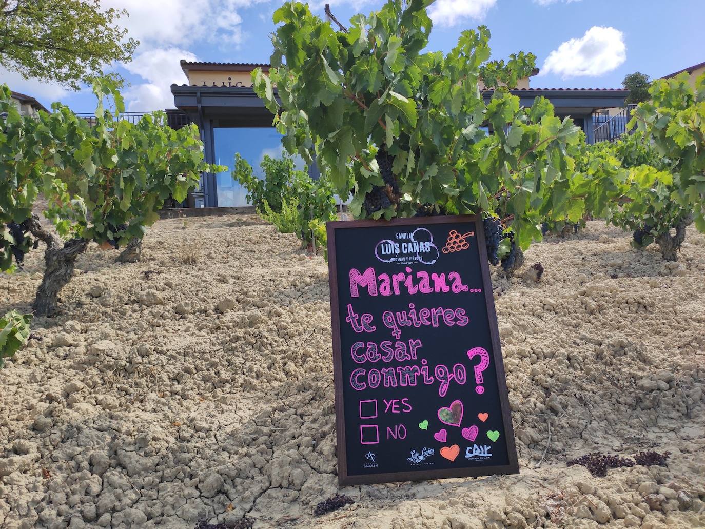 Amor a la mexicana: una petición de mano en los viñedos de Luis Cañas