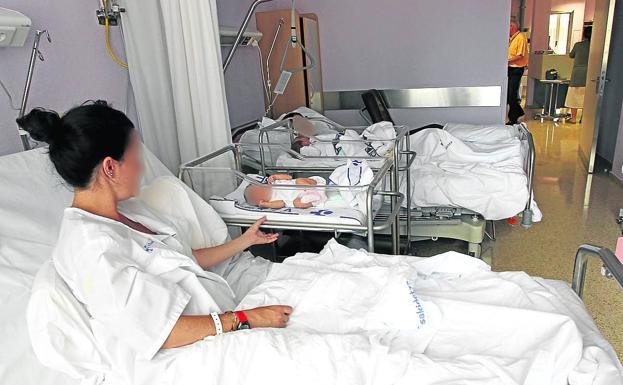 Álava inicia el trámite para tumbar las ayudas a padres y mayores fijadas por la oposición