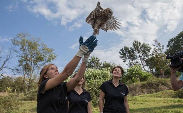 Medio millar de animales silvestres se recuperan cada año en la granja de Gorliz