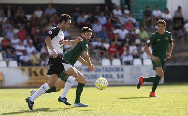 Los cachorros se divierten