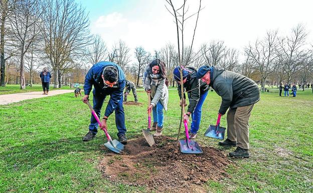 Vitoria planta 1.230 árboles este año y tiene 2.400 más que en 2016