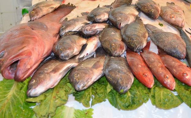 Ciguatera, otra amenaza llegada del mar