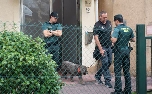 Marley, el 'agente' canino que busca pruebas en el crimen de la cabeza cortada de Castro