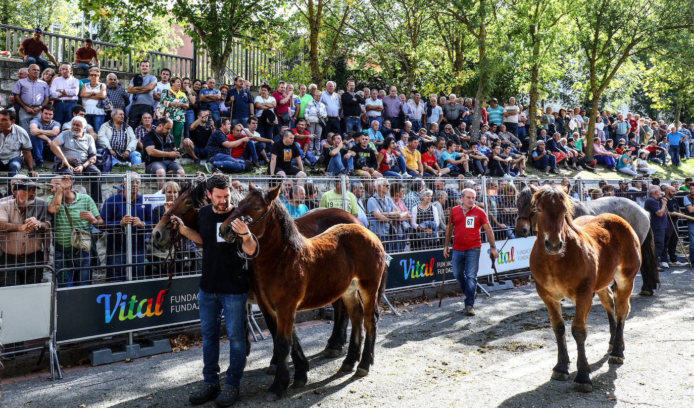 Salvatierra vuelve a celebrar su tradicional feria