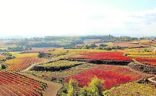 Rutas de otoño por Rioja Alavesa