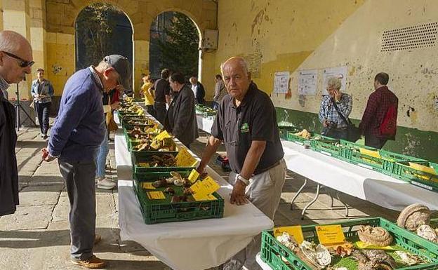 Basozaleak mostrará la riqueza cultural y culinaria de las setas en Getxo