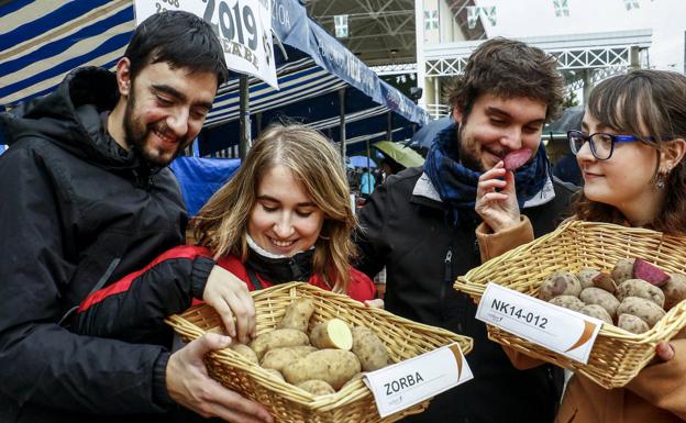 Fiesta sobre una base de patata