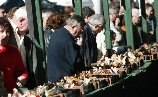 Galdakao vuelve a ser la capital de la micología este fin de semana