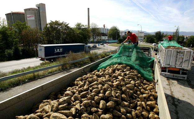 El derrumbe de precios pone en jaque a la remolacha alavesa