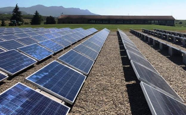 El Ayuntamiento de Vitoria colocará 5 instalaciones solares fotovoltaicas para fomentar el autoconsumo de energía limpia y gratuita