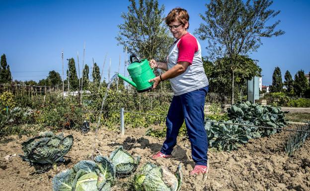 Salen a sorteo las parcelas de los huertos ecológicos municipales de Abetxuko