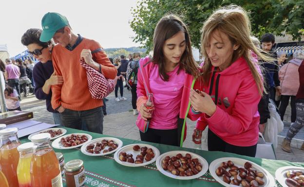 Apellániz impulsa el «desarrollo de la comarca» con la Feria de la Castaña