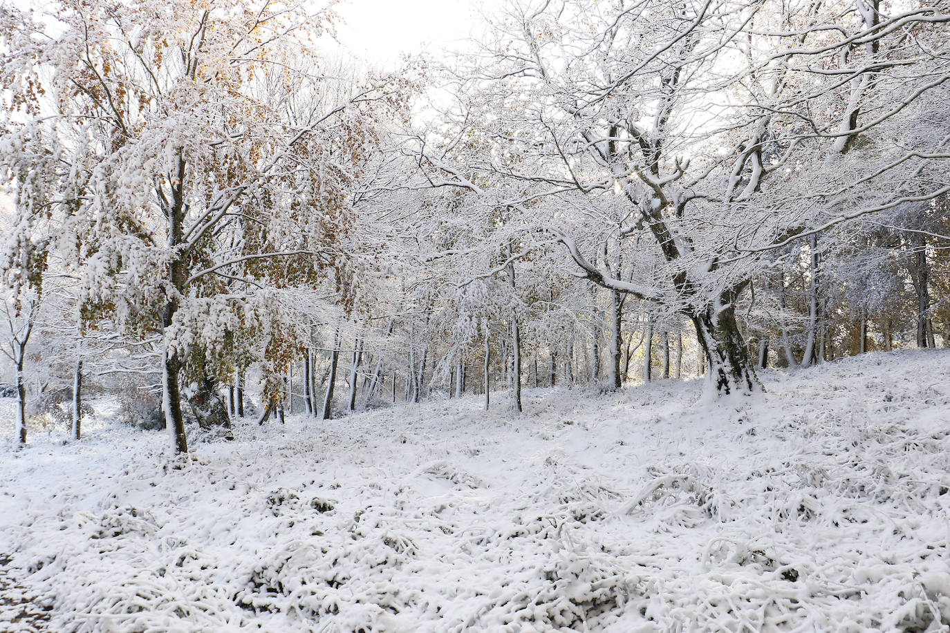 Los primeros paisajes nevados en España