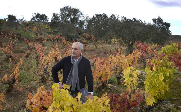 Las cepas del pasado descansan en Luis Cañas