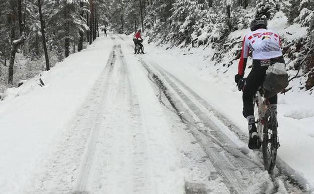 La escapada final de Tim y Tom